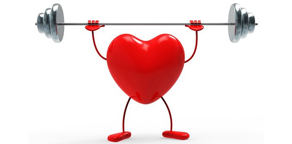 Healthy Heart: Supplements and Herbs for Heart Disease